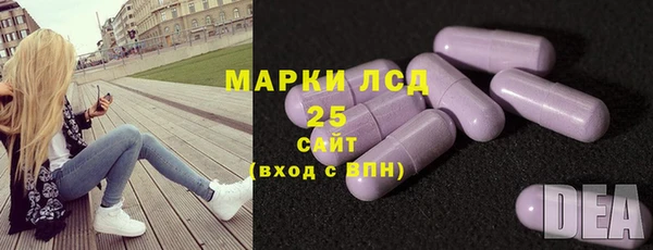 спайс Баксан