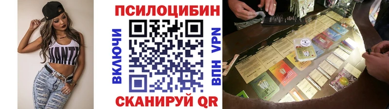 продажа наркотиков  Вязники  Псилоцибиновые грибы GOLDEN TEACHER 